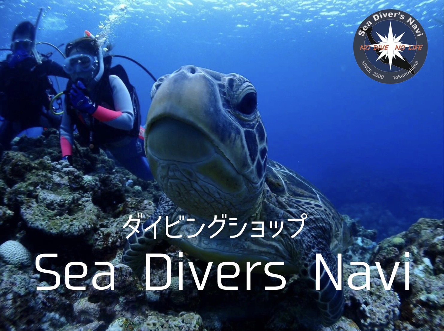 SeaDiversNavi,徳之島